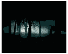 Gothic Forest